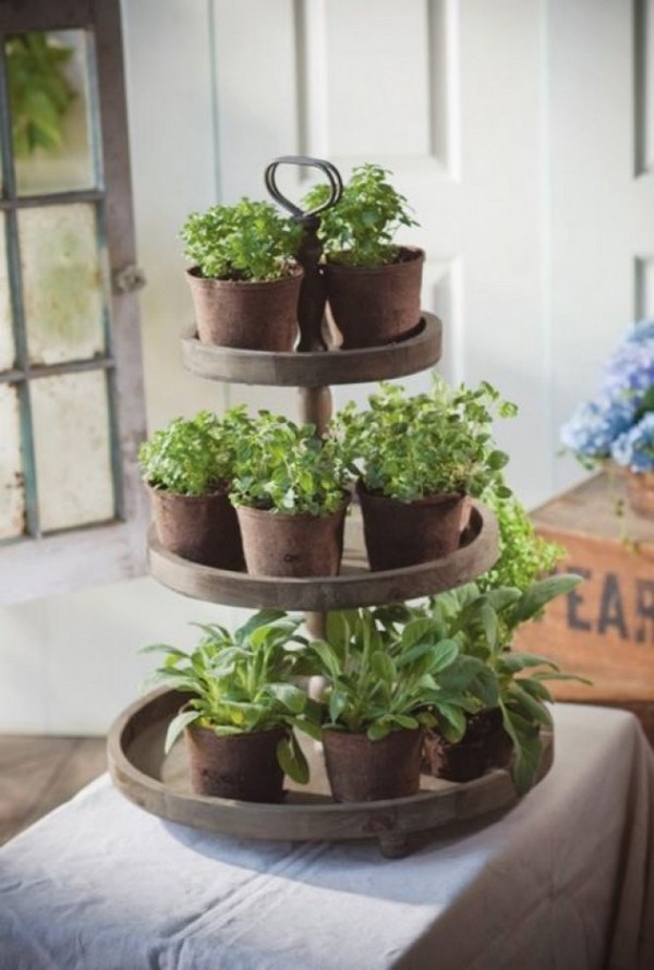 how to create an indoor herb garden