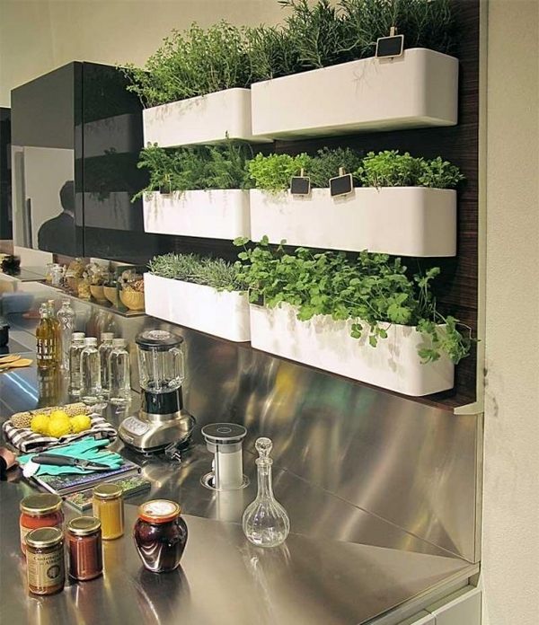 indooor modern kitchen plastic containers vertical garden ideas