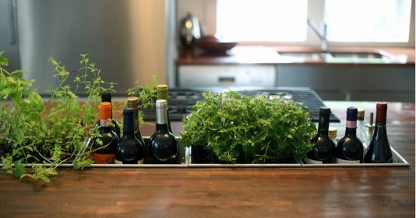 indoor ideas herb garden kitchen decor