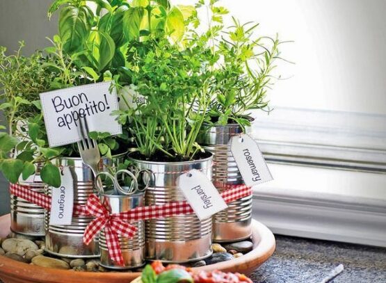 indoor-herb-garden-ideas-tin-cans-gravel-ribbons