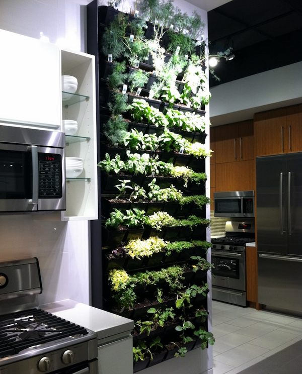 indoor herb ideas vertical garden design kitchen wall