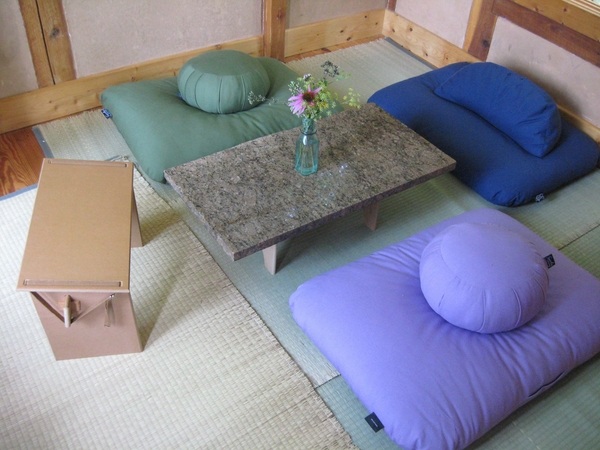 minimalist living room low coffee table floor cushion