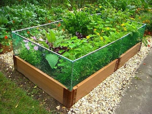 raised garden bed with fence landscape ideas