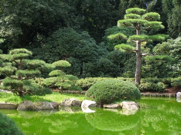 japanese garden elements water stones