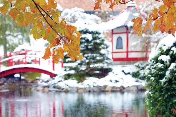 Amazing japanese garden designs winter colors