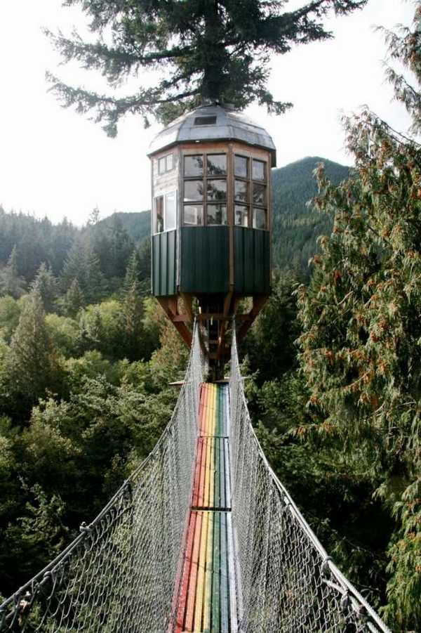 Amazing designs hanging bridge forest nature