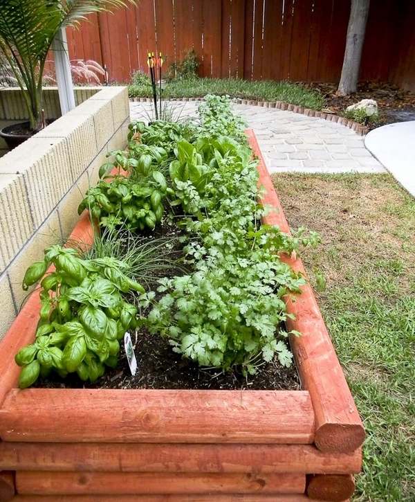 DIY Raised beds in the vegetable garden - ideas and materials
