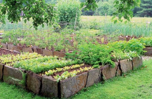 vegetable stone beds