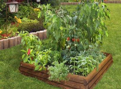 DIY-raised-bed-vegetable-garden-wood-planks-garden-design-ideas