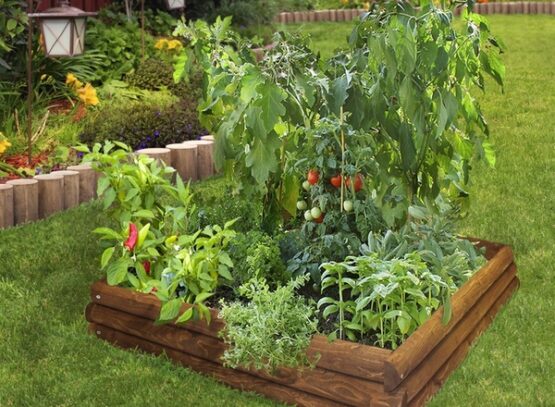 DIY-raised-bed-vegetable-garden-wood-planks-garden-design-ideas