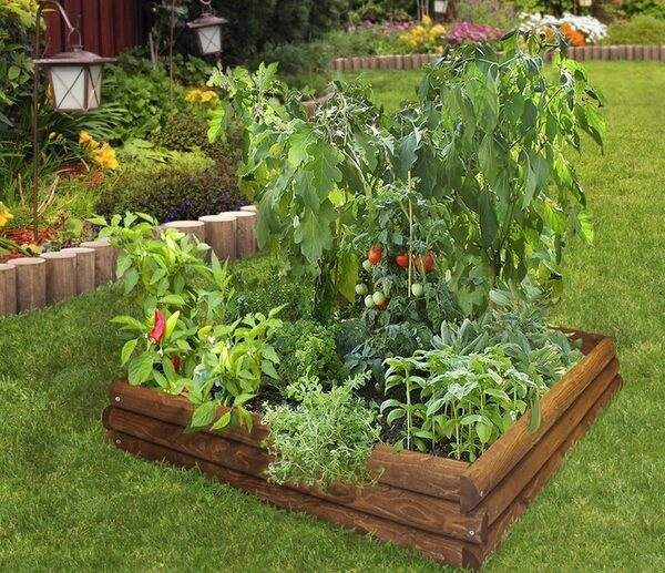 DIY-raised-bed-vegetable-garden-wood-planks-garden-design-ideas
