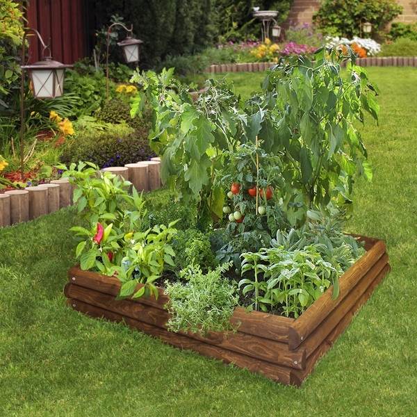 DIY raised bed vegetable garden wood planks garden design ideas
