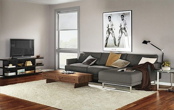 Modern ideas gray sofa soft walls white area rug