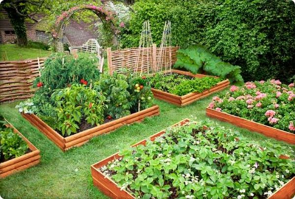 Raised beds design ideas vegetable bed