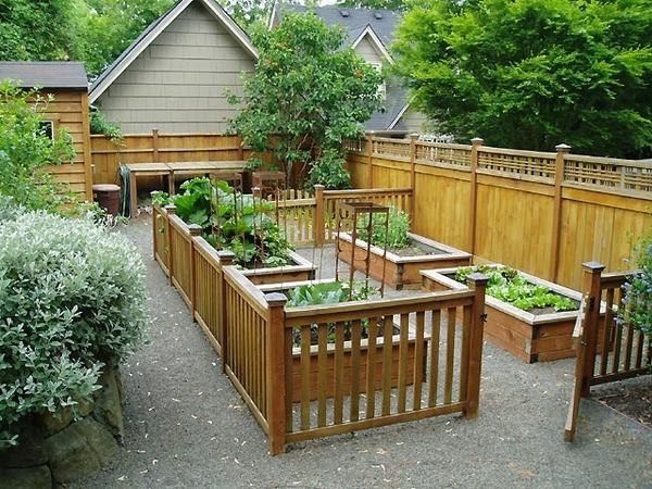 diy raised beds in the vegetable garden - ideas and materials