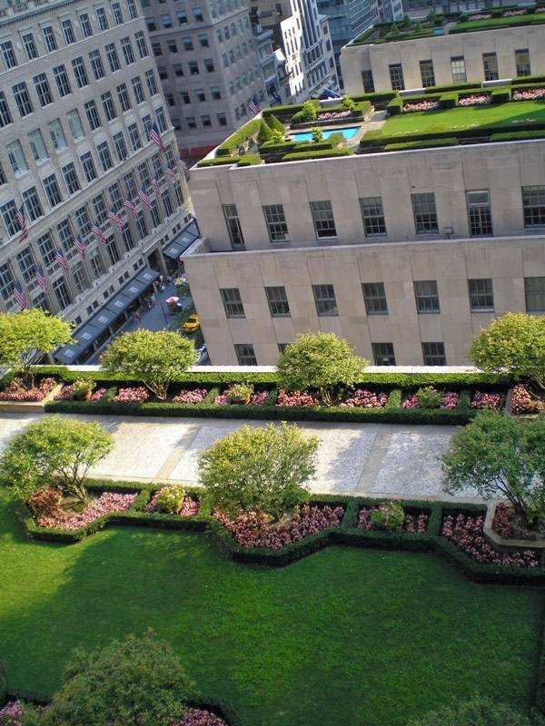 Roof lawn flowers garden paths swimming pool