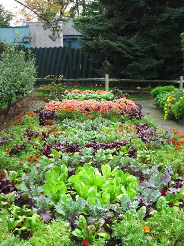 40 vegetable garden design ideas – What you need to know?