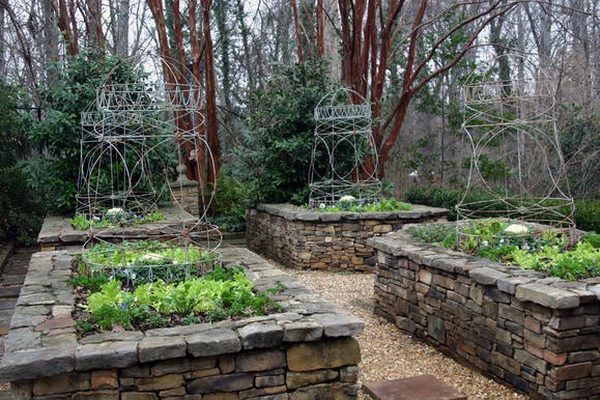 Vegetable-garden-raised-beds-natural-stone-lettuce