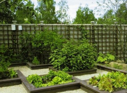 adorable-vegetable-garden-design-raised-beds-decorative-vegetable-garden