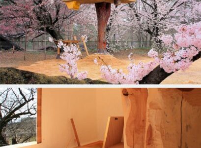 amazing-tree-house-design-blossoming-trees