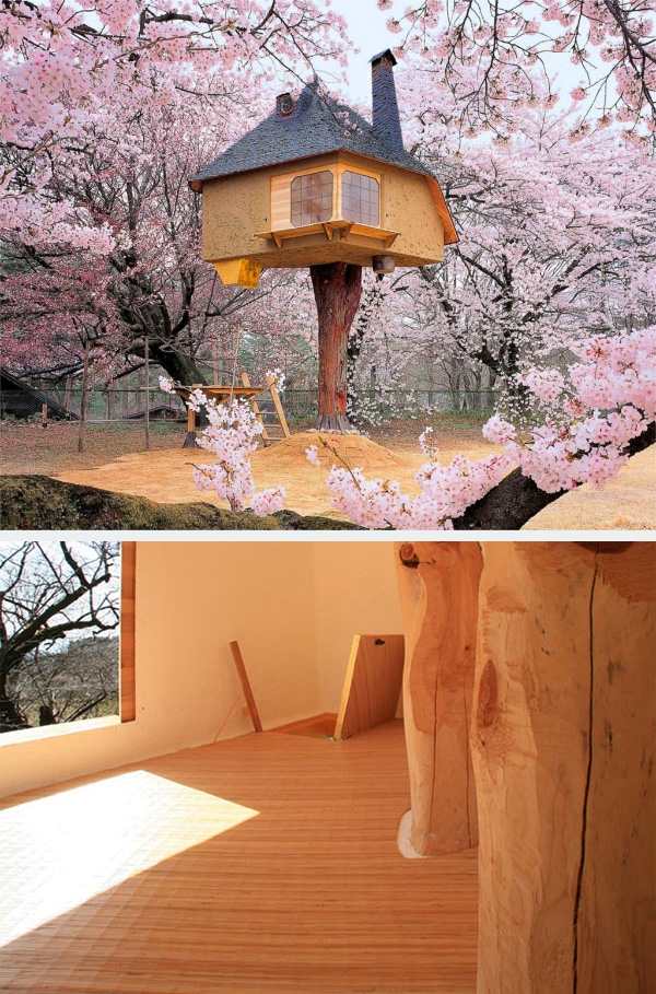 amazing tree house design blossoming trees