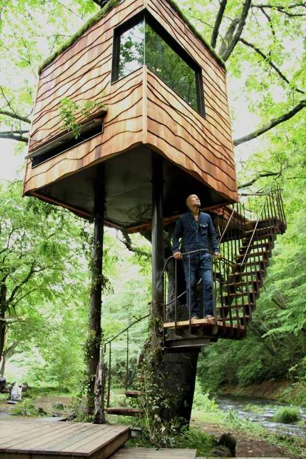 amazing tree house wooden construction window stairs