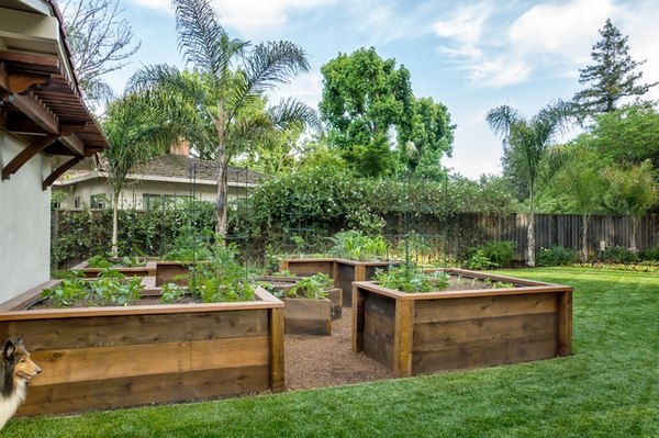 Backyard raised vegetable garden design