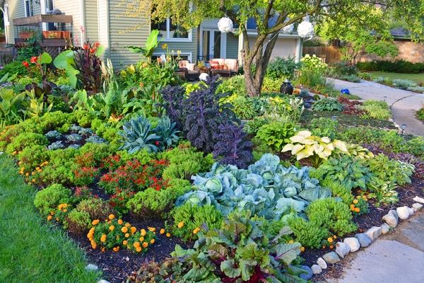 40 Vegetable Garden Design Ideas What, Front Yard Vegetable Garden Ideas