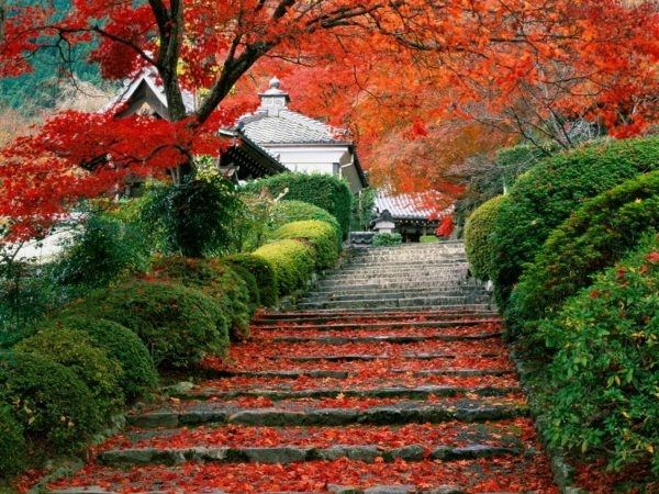 colors of gardens stone stairs red tree leaves