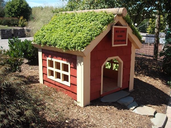 cute plans green roof