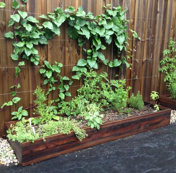 raised beds fence