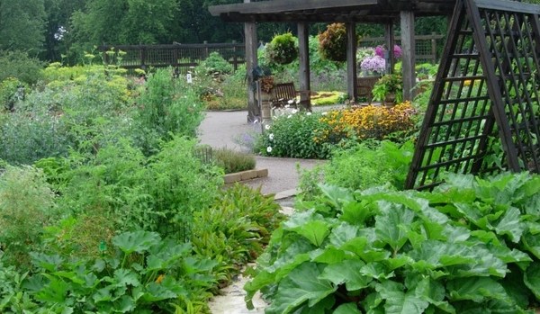 40 vegetable garden design ideas - What you need to know?