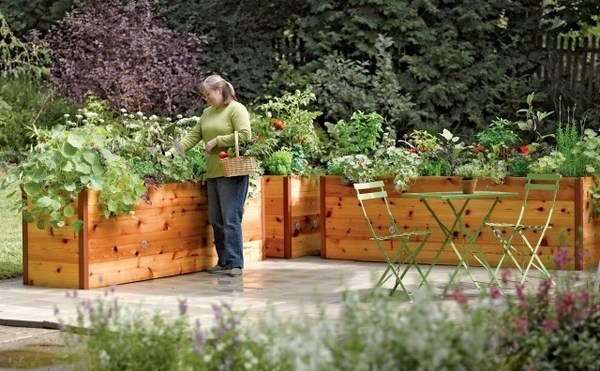 raised beds wood cedar vegetable garden ideas patio design ideas