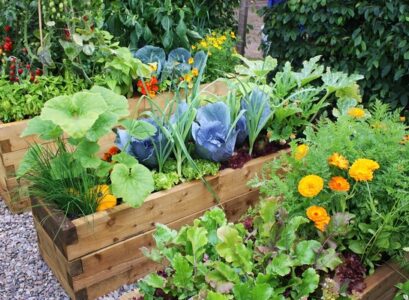 home-gardening-ideas-wooden-raised-beds-vegetable-garden-design