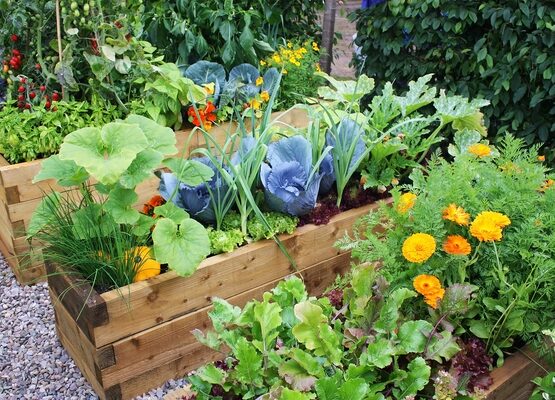 home-gardening-ideas-wooden-raised-beds-vegetable-garden-design