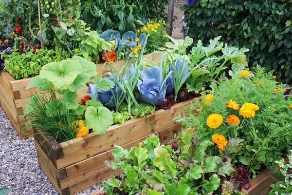 home gardening ideas wooden raised beds vegetable garden design