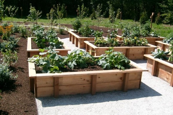 Raised vegetable garden - clever and creative home gardening ideas