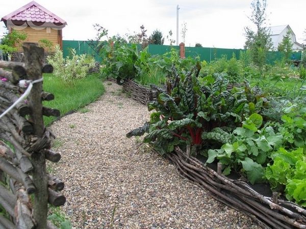 how to design vegetable bed tips ideas