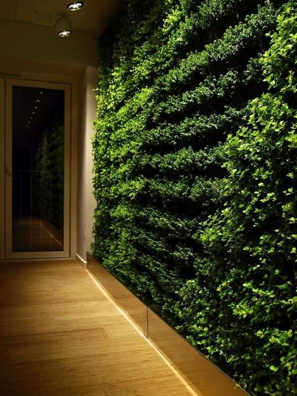 indoor wall garden modern home hallway decoration