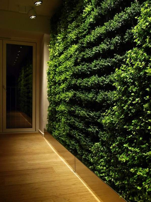 indoor-wall-garden-modern-home-hallway-decoration