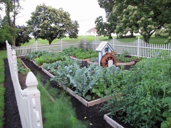 40 Vegetable Garden Design Ideas What You Need To Know - Fenced Vegetable Garden Ideas