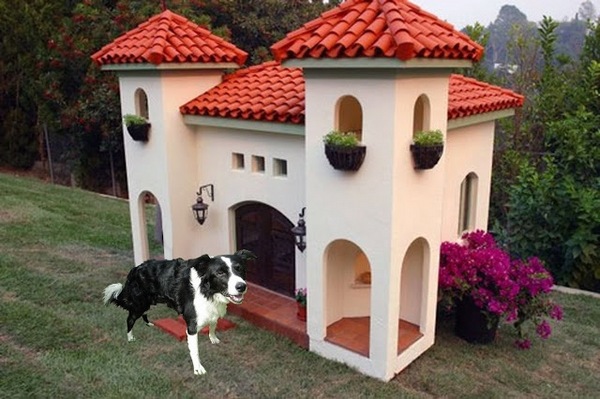 modern luxury pet mediterranean villa style