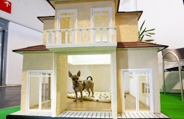 modern-luxury-dog-house-two-storey-house