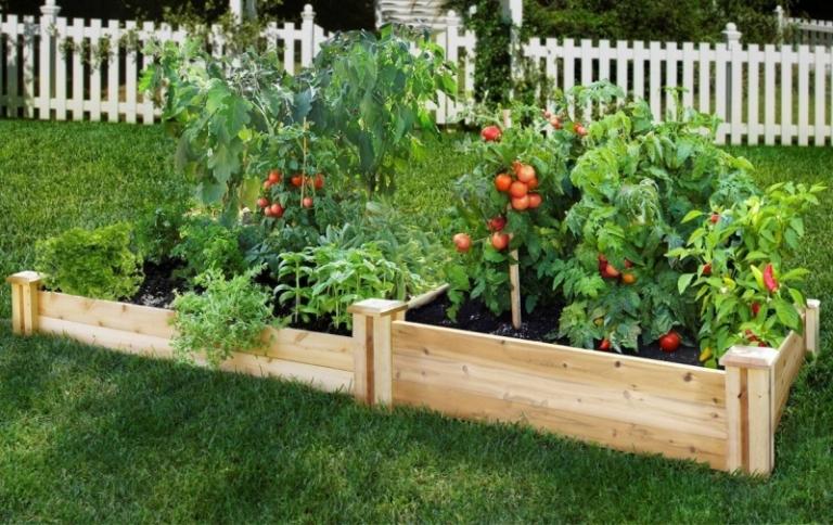 patio wooden raised beds