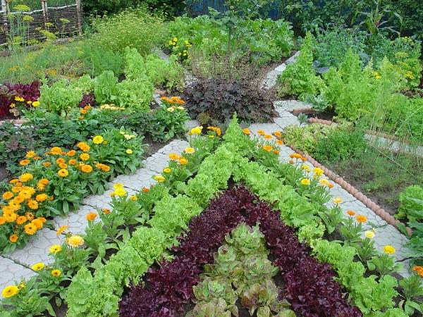 patio vegetable garden beds design ideas colors