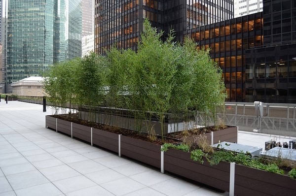 planter rooftop planter boxes woods