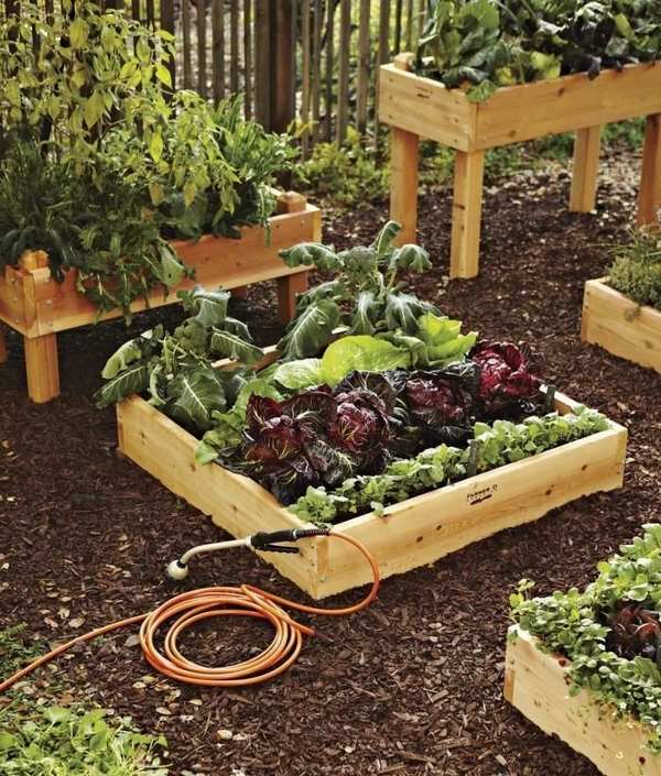 rtips wooden raised beds