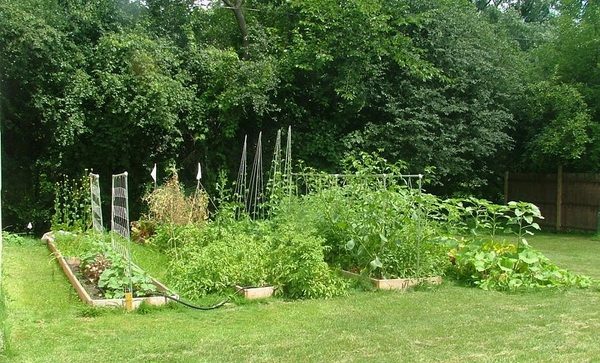 small vplans backyard home gardening
