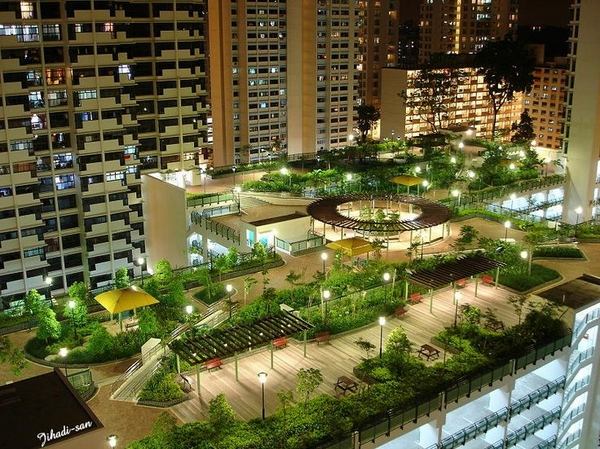 spectacular roof garden designs flooring pergolas lighting