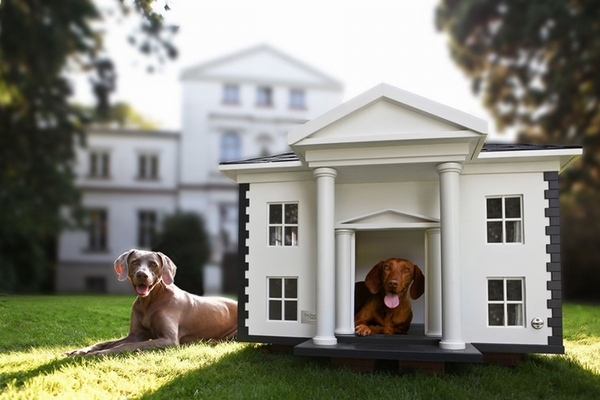 stunning dog house design colonial style luxury house